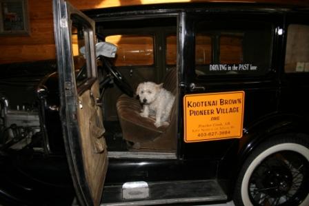 Kootenai Brown Antique Car