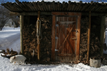 Kootenai Brown mud house