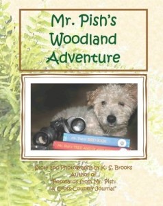 Mr Pish Woodland Adventure