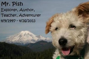 Mr-Pish-tribute-photo