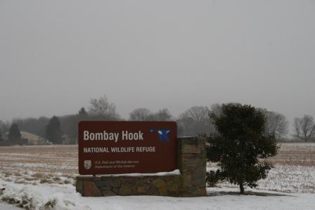 welcome to bombay hook IMG_8634