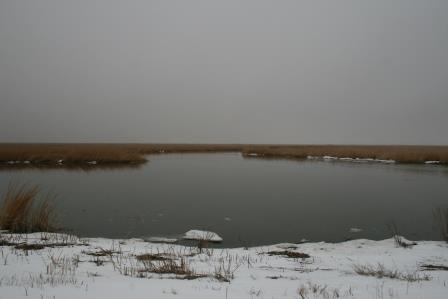 Bombay Hook scenery IMG_8642