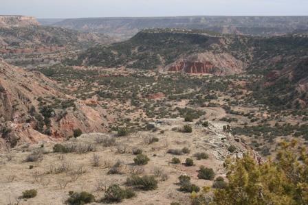 Palo Duro Canyon State Park IMG_9798