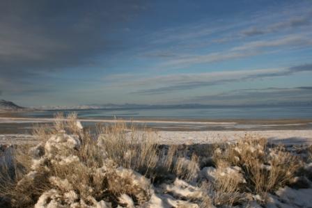 Antelope Island State Park aiIMG_1928