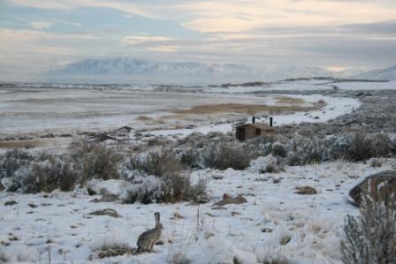 Antelope Island State Park aiIMG_1944