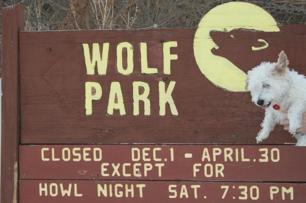 pookie wolf park