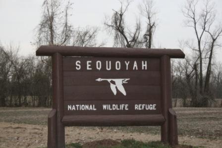 Sequoyah National Wildlife Refuge sqIMG_9495