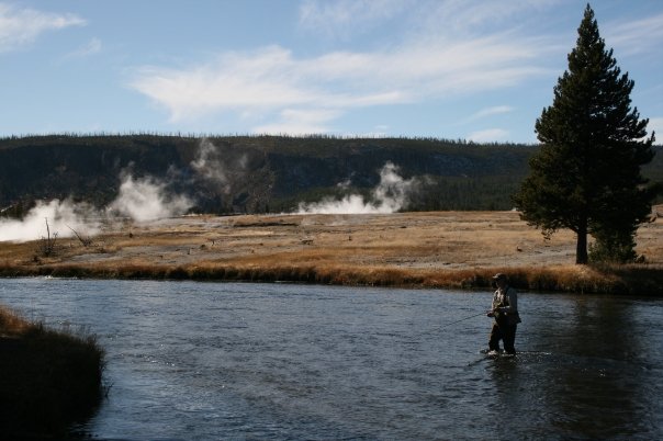 Yellowstone National Park  yellow7