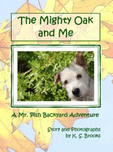 Mighty Oak and Me 2015 front cover yellow