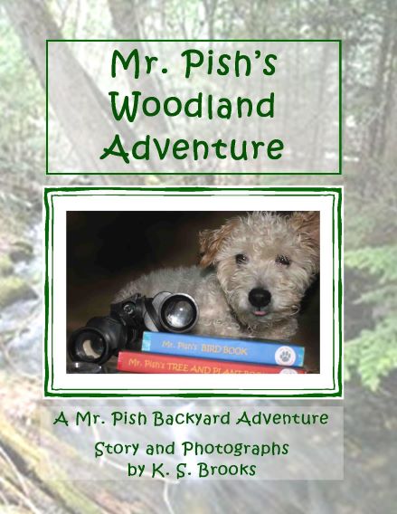 Mr. Pish's Woodland Adventure